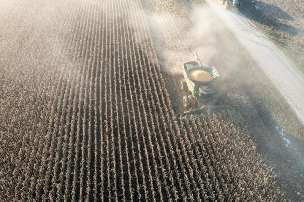 Argentina logra posición predominante en el mercado maicero&nbsp;global