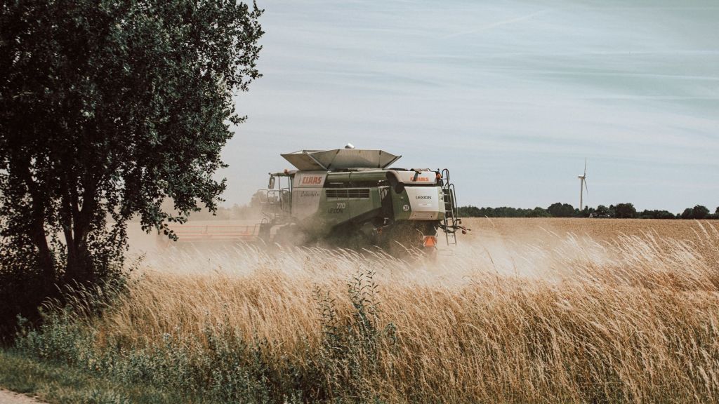 Molinos Agro multiplica ganancias con cosecha récord e incentivos a&nbsp;exportación
