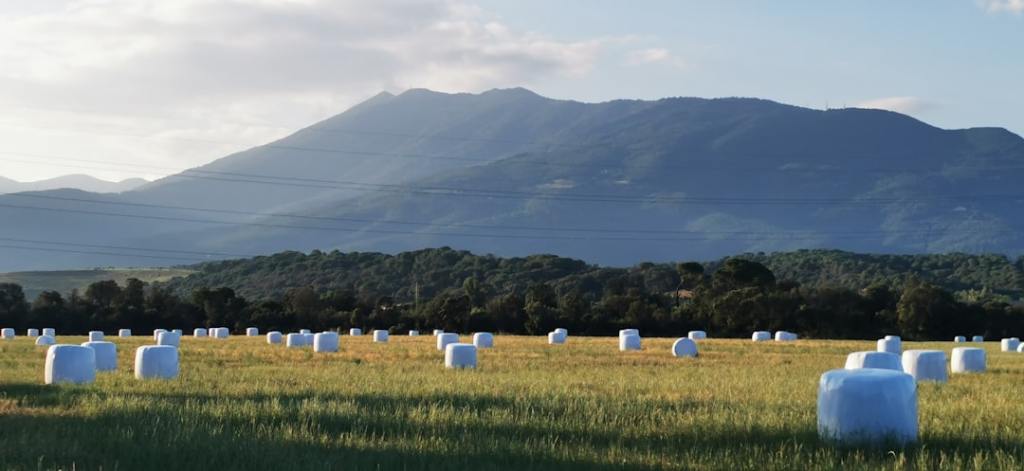 Sector agrícola en alerta por heladas y caída de&nbsp;temperaturas