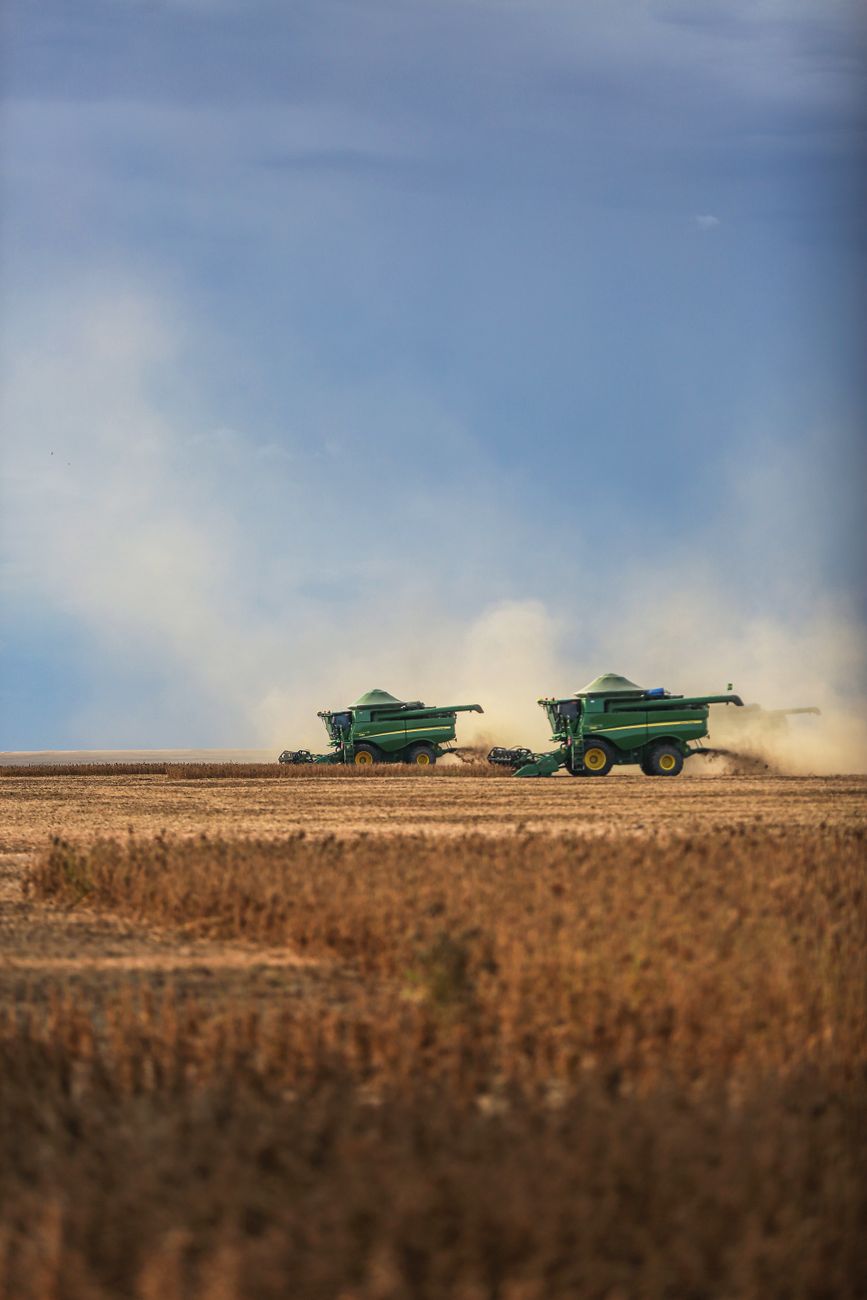 Exportaciones del agro: record de divisas con US$ 22.000 millones en cinco&nbsp;meses