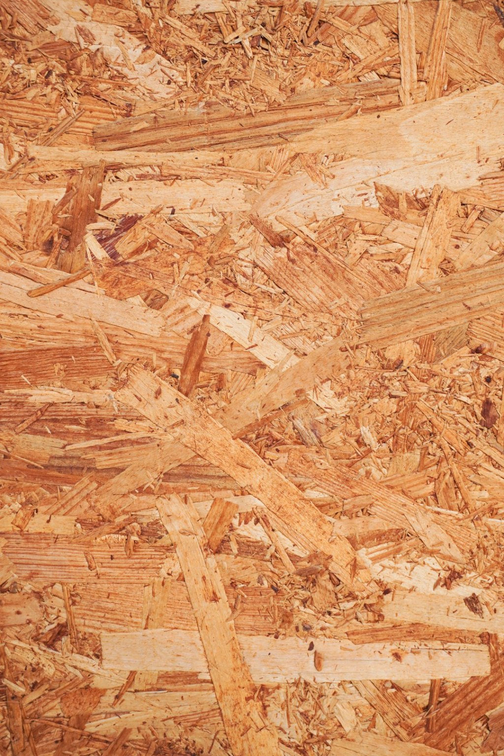 Madera estructural en Corrientes: invierten US$ 20 millones en planta&nbsp;innovadora